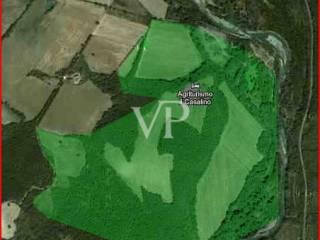 Villa unifamiliare Podere Casalino 20, Pari, Civitella Paganico — foto 3 di 26