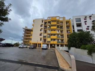 Trilocale strada Del Carro 92, Bisceglie — foto 8 di 9
