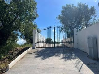Villa unifamiliare via Monaci, Centro, Ricadi — foto 43 di 52