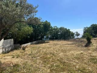 Villa unifamiliare via Monaci, Centro, Ricadi — foto 26 di 52