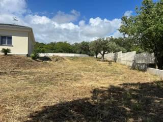 Villa unifamiliare via Monaci, Centro, Ricadi — foto 34 di 52