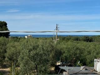 Casale via Imbriani 415, Bisceglie — foto 28 di 43