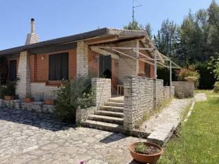 Villa unifamiliare viale del Ponticello, Montegrosso - Boschetto, Andria — foto 5 di 14