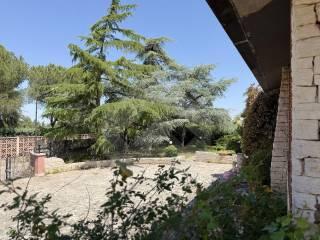 Villa unifamiliare viale del Ponticello, Montegrosso - Boschetto, Andria — foto 7 di 14