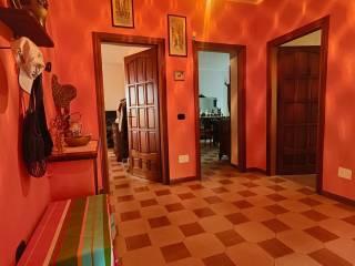 Quadrilocale via Italia 14, Drapia — foto 2 di 23