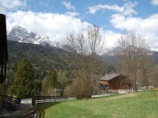 Bilocale buono stato, piano terra, Cancia, Borca di Cadore — foto 8 di 8