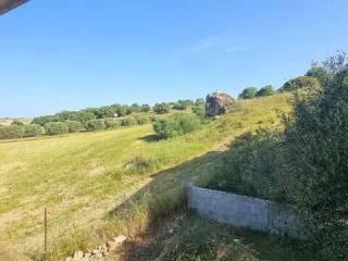 Villa unifamiliare piazza Sandro Pertini, 16, Villagreca, Nuraminis — foto 15 di 24