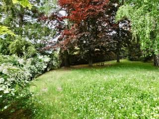 Villa unifamiliare, ottimo stato, 402 m², Toceno — foto 38 di 55