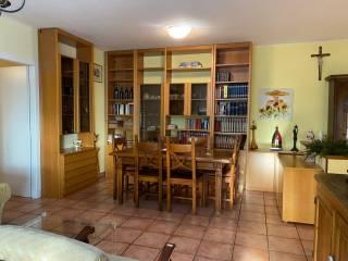 Stanza singola via Luigi Einaudi 4, Cologno Monzese — foto 4 di 16