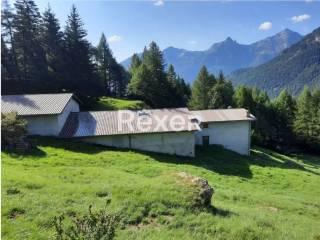 Casale frazione San Domenico, San Domenico, Varzo — foto 5 di 6