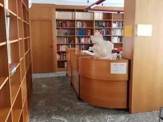 Stanza in affitto in appartamento via Roma, Maniago — foto 10 di 20