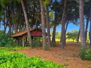 Villa plurifamiliare via Anguille 2, San Vito - Carelli, Taranto — foto 17 di 40