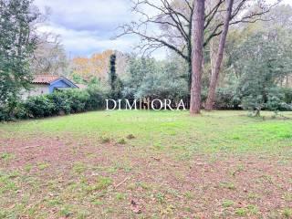 Villa bifamiliare via delle Querce 25, Selva Piana Baia D'argento, Sabaudia — foto 5 di 46