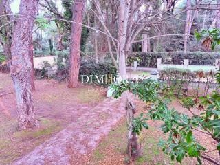 Villa bifamiliare via delle Querce 25, Selva Piana Baia D'argento, Sabaudia — foto 6 di 46