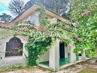 Villa bifamiliare via delle Querce 25, Selva Piana Baia D'argento, Sabaudia — foto 22 di 46