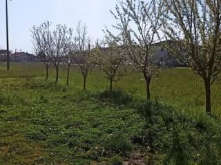 Villa unifamiliare via Padova No Number, Loreo — foto 16 di 28