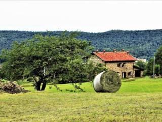 Rustico Località Gallina 1, Donato — foto 12 di 24