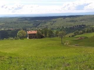 Rustico Località Gallina 1, Donato — foto 20 di 24