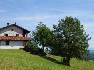 Rustico Località Gallina 1, Donato — foto 22 di 24