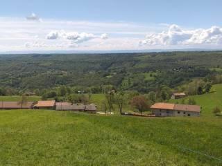Rustico Località Gallina 1, Donato — foto 21 di 24