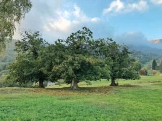 Rustico Località Gallina 1, Donato — foto 2 di 24