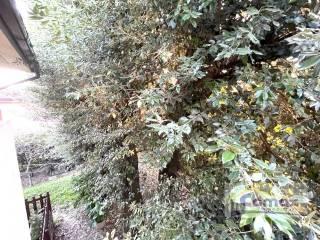 Villa unifamiliare via Appia Monterosso, Centro, Abano Terme — foto 10 di 21