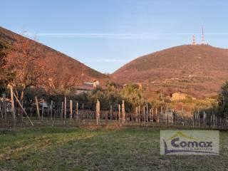 Casa colonica via del Molino, Cinto Euganeo — foto 5 di 25