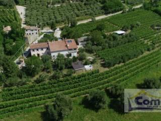 Casa colonica via del Molino, Cinto Euganeo — foto 21 di 25