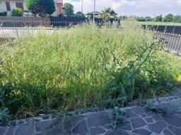 Villa a schiera via Don Lorenzo Milani, Romanengo