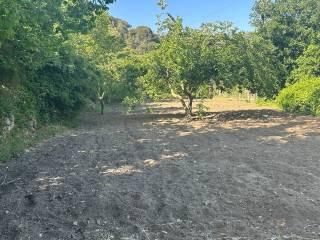 Villa unifamiliare, ottimo stato, 175 m², Piazza Armerina — foto 22 di 44