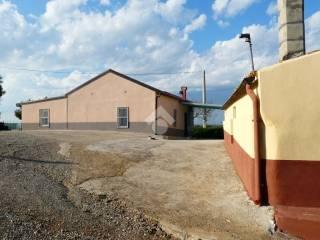 Villa unifamiliare Contrada Pianoro Santa Laura, Rotondella — foto 10 di 22