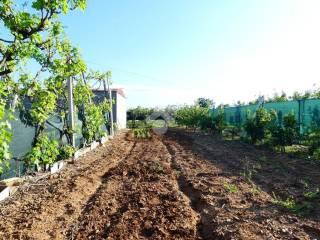 Villa unifamiliare Contrada Pianoro Santa Laura, Rotondella — foto 3 di 22
