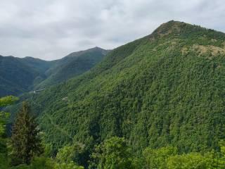 Appartamento via Vittorio Emanuele 1, Spoccia, Valle Cannobina — foto 4 di 27