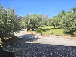 Villa bifamiliare Contrada Fiorano, Loreto Aprutino — foto 3 di 42