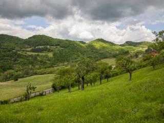 Villa unifamiliare Località Brunelli, Borgo Val di Taro — foto 27 di 43