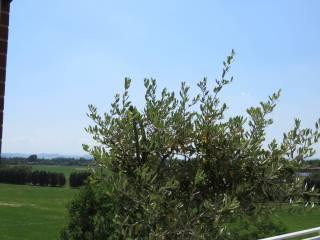 Attico via Italo Calvino 6, Castelnuovo Rangone — foto 4 di 40