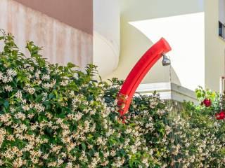 Appartamento in villa via Plinio 1, Centro, Roseto degli Abruzzi — foto 6 di 15