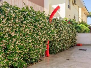 Appartamento in villa via Plinio 1, Centro, Roseto degli Abruzzi — foto 10 di 15
