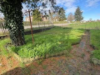 Terratetto unifamiliare Serraiolo 1, Gavello — foto 10 di 26