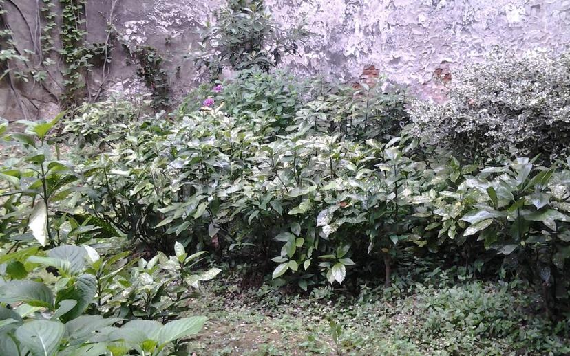 Bilocale via Federico Ozanam 12, Via della Rocca, Torino — foto 3 di 15
