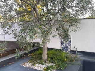 Attico Riviera Di Chiaia, Chiaia, Napoli — foto 15 di 22