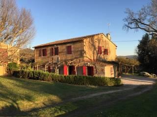 Villa unifamiliare, ottimo stato, 400 m², Castagneto Carducci — foto 7 di 30