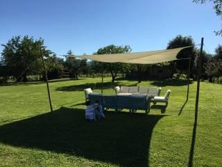 Villa unifamiliare, ottimo stato, 400 m², Castagneto Carducci — foto 5 di 30