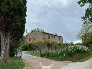 Villa unifamiliare, ottimo stato, 400 m², Castagneto Carducci — foto 28 di 30