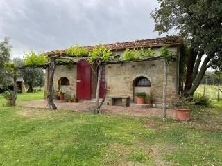 Villa unifamiliare, ottimo stato, 400 m², Castagneto Carducci — foto 12 di 30