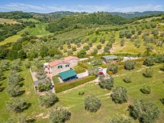 Villa unifamiliare Strada Provinciale Scansanese, Scansano — foto 16 di 55