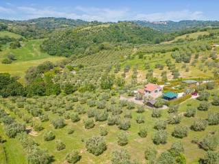 Villa unifamiliare Strada Provinciale Scansanese, Scansano — foto 50 di 55