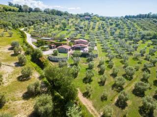 Villa unifamiliare Strada Provinciale Scansanese, Scansano — foto 8 di 55