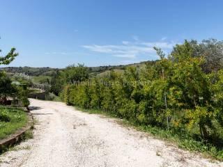 Villa unifamiliare Strada Provinciale Scansanese, Scansano — foto 14 di 55