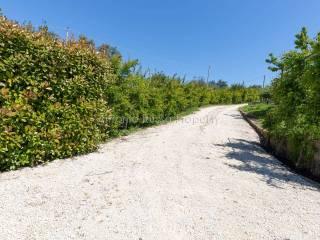 Villa unifamiliare Strada Provinciale Scansanese, Scansano — foto 3 di 55